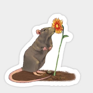 Rat with a flower Sticker